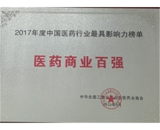 2017年度中国医药行业最具影响力榜单 医药商业百强